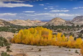 里程碑夜!犹他爵士强势反弹,中超窗口期刷纪录,管理层满意,临场指挥获称赞 里程碑夜!犹他爵士强势反弹,中超窗口期刷纪录,管理层满意,临场指挥获称赞